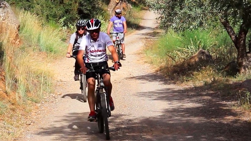 Mountain Bike Delphi to Seaside Kirra